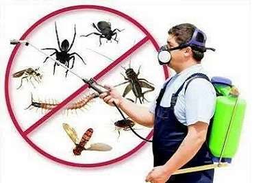 General Pest Control Services