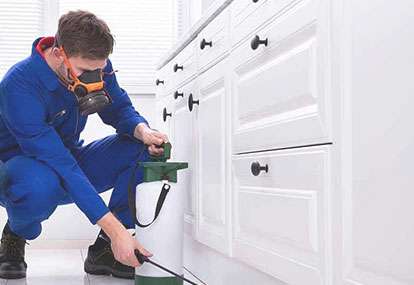 Pest Control Service in Mumbai, Navi Mumbai And Thane